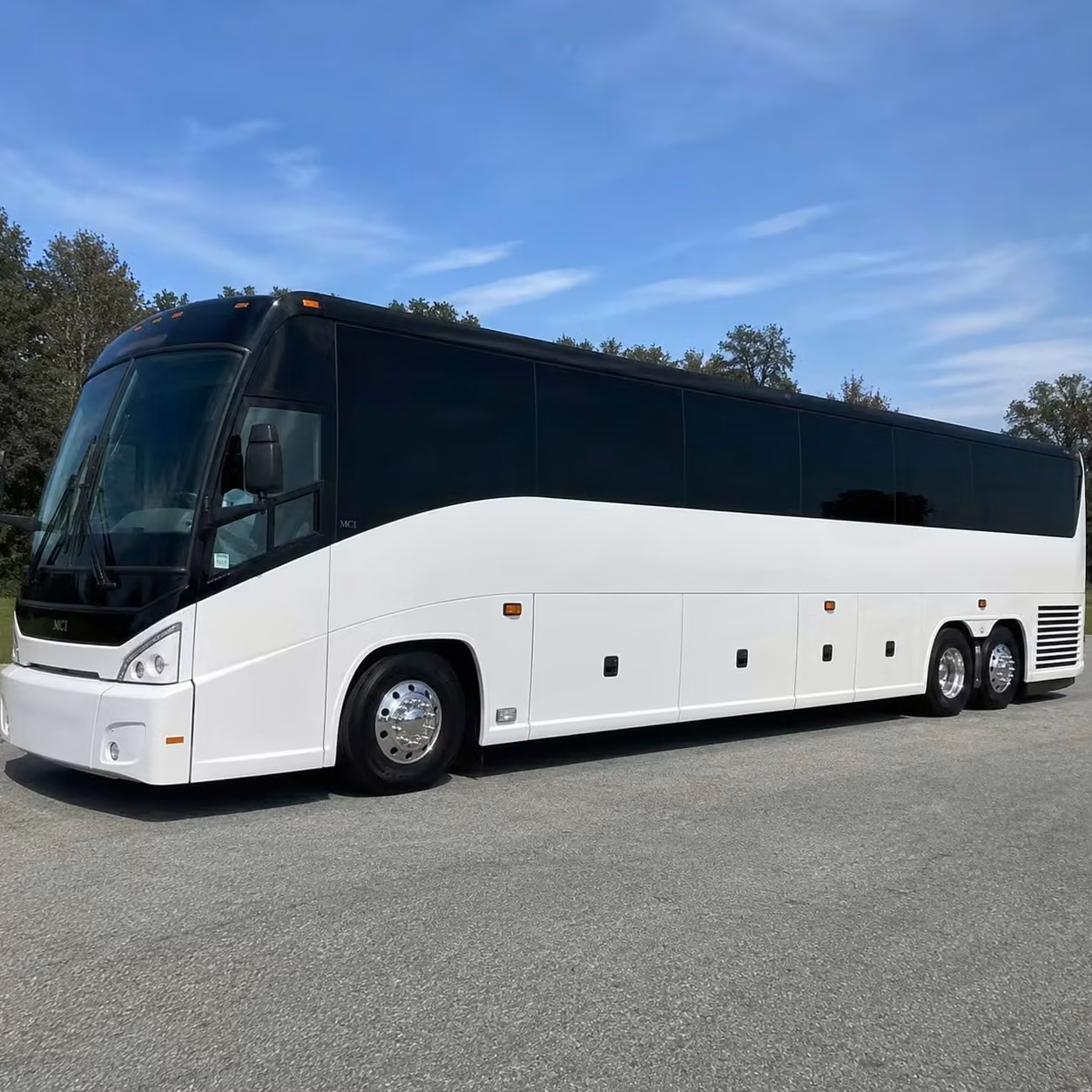 bella vista buses