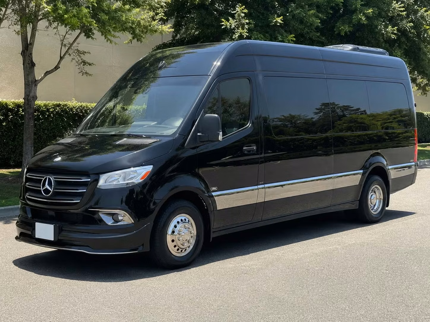 bella vista sprinter van rental with driver